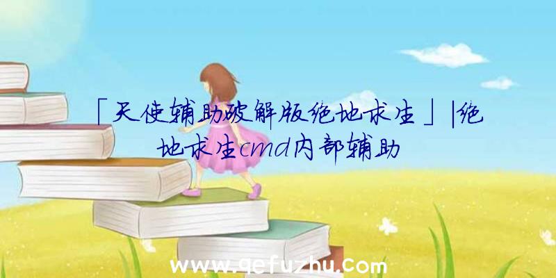 「天使辅助破解版绝地求生」|绝地求生cmd内部辅助